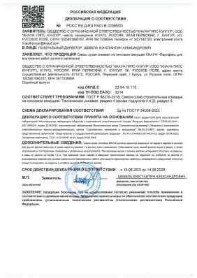 Предпросмотр: Декларация о соответствии № РОСС RU Д-RU.РА01.В.22095/23