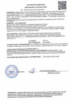 Предпросмотр: Декларация о соответствии № РОСС RU Д-RU.РА01.В.09475/24