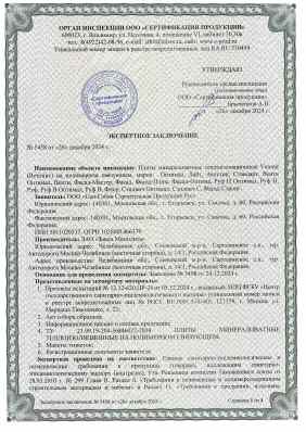 Предпросмотр: Экспертное заключение № 5458