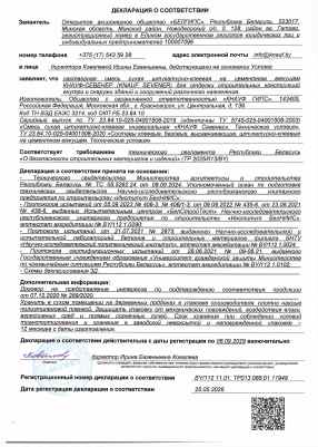 Предпросмотр: Декларация о соответствии № BY/112 11.01. ТР013 088.01 11949