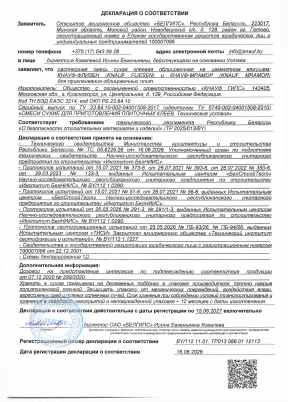 Предпросмотр: Декларация о соответствии № BY/112 11.01. ТР013 088.01 12113