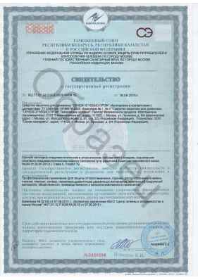 Предпросмотр: Свидетельство о государственной регистрации № RU.77.01.34.015.E.002019.09.15