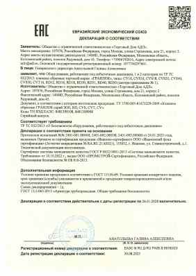 Предпросмотр: Декларация о соответствии № ЕАЭС N RU Д-RU.РА06.В.99162/23