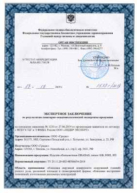 Предпросмотр: Экспертное заключение № 1538г/2019