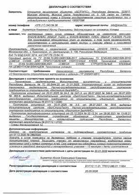Предпросмотр: Декларация о соответствии № BY/112 11.01. ТР013 088.01 11954