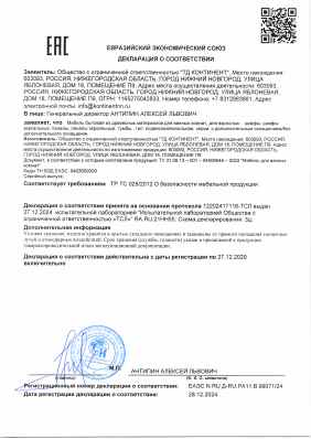 Предпросмотр: Декларация о соответствии № ЕАЭС N RU Д-RU.РА11.В.99071/24