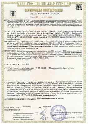 Предпросмотр: Сертификат соответствия № ЕАЭС RU C-RU.ЖТ01.В.00202/23