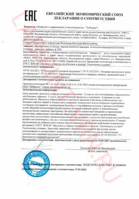 Предпросмотр: Декларация о соответствии № ЕАЭС N RU Д-RU.РА01.В.16344/24