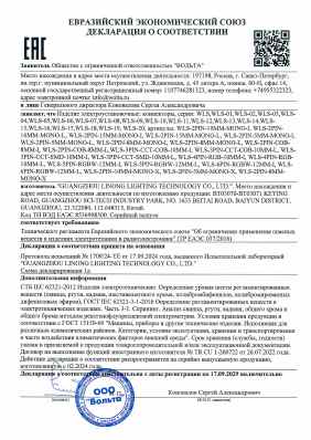 Предпросмотр: Декларация о соответствии № ЕАЭС N RU Д-CN.РА08.В.46181/24