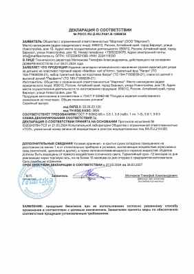 Предпросмотр: Декларация о соответствии № РОСС RU Д-RU.РА01.В.12689/24