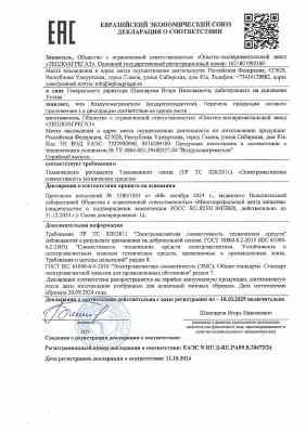 Предпросмотр: Декларация о соответствии № ЕАЭС N RU Д-RU.РА09.В.20472/24